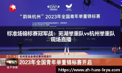 乐鱼体育平台